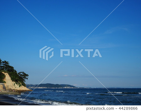 海 44289866