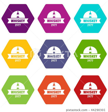 Bottle whiskey icons set 9 vector 44290301
