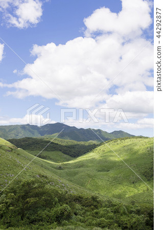 秋吉台 秋吉台 44292877