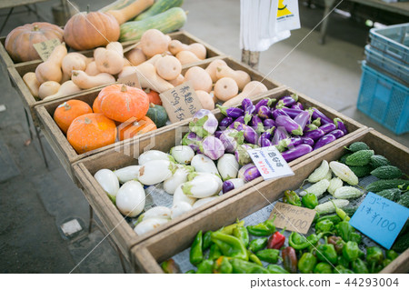 Colorful Kamakura vegetables Colorful Kamakura vegetables 44293004