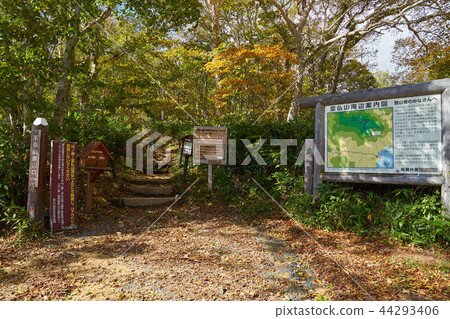 Oze-Habitation of Mt. 44293406