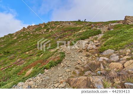 Fall Oze See the direction of the summit of the temple from the middle of the mountain and the temple 44293413