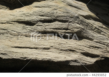 粗糙的皮膚 粗糙的皮膚 44293852