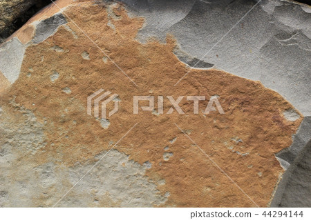 Rough rough skin Rough rough skin 44294144