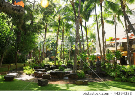 夏威夷瓦胡島檀香山威基基 44294388