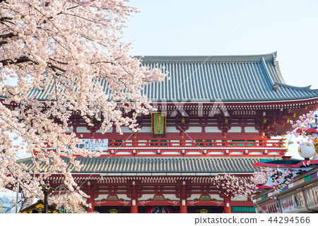 Sensoji Temple Hozomon Haru (Taito-ku, Tokyo) *March 2018 44294566