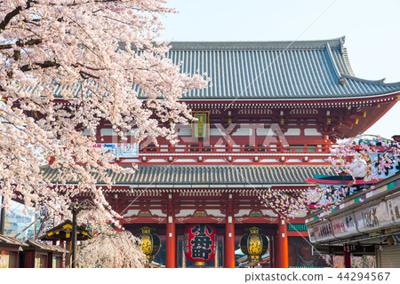 淺草寺法藏門春（東京都東區）* 2018年3月 44294567