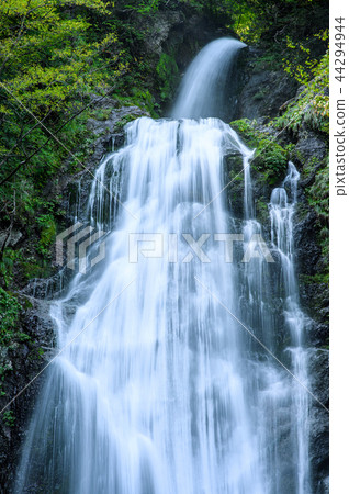 Mikaeri瀑布秋田縣 44294944