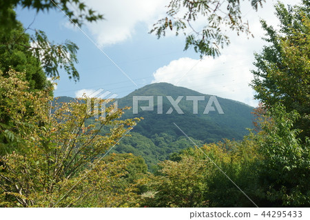 從樹中看到的Fukuchi山脈 從樹中看到的Fukuchi山脈 44295433