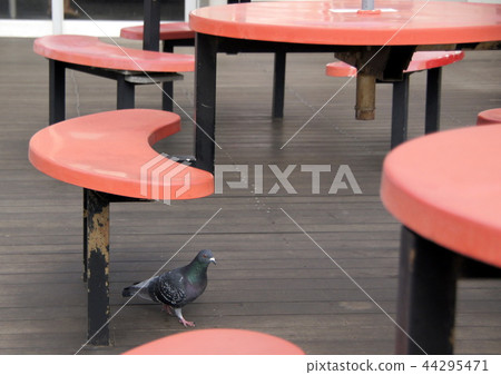 Red table Red table 44295471