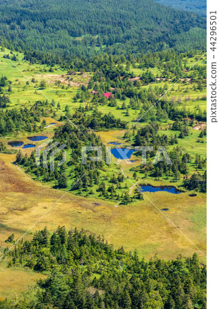 Yoshigahira濕地組 44296501