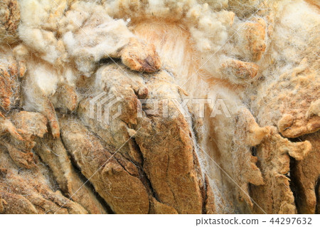 Sheep wool texture in nature for background 44297632