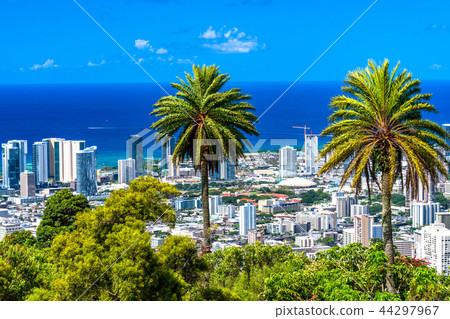 "Hawaii" Panoramic view of Honolulu from the Tantalus Hill "Hawaii" Panoramic view of Honolulu from the Tantalus Hill 44297967