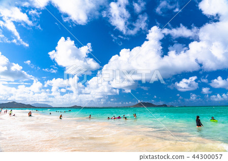 “夏威夷”凱魯瓦海灘瓦胡島 44300057