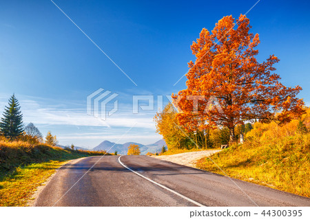 A road through an autumn country. 44300395