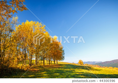 Landscape with a trees in autumn colors, Slovakia. 44300396