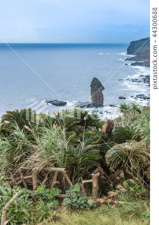 與那國島/ Tategami岩石 44300688