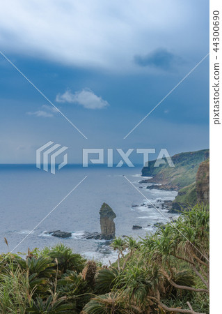 Yonagunijima / Tategami rock 44300690