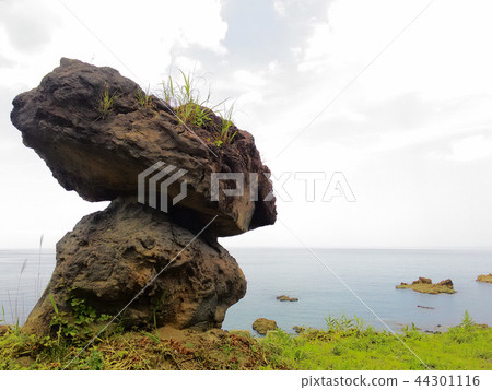 日本海景觀 44301116