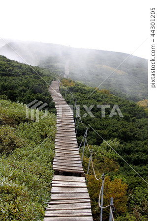 Mountain trail Mountain trail 44301205