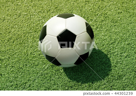 Soccer Football on grass 44301239