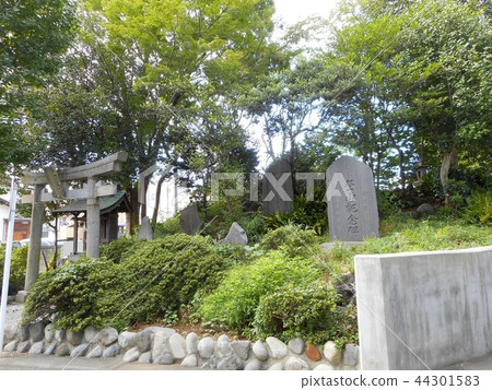 Akatsuka Hikawa Shrine Fujitsuka 44301583