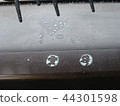Salt damage caused by typhoon Salt crystals formed on veranda 44301598