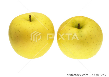 Apple Yellow King White Aomori Prefecture Apple Yellow King White Aomori Prefecture 44301747