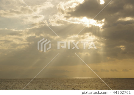 Ariake Sea Angel Ladder 2 Ariake Sea Angel Ladder 2 44302761