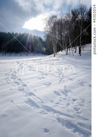 雪域 雪域 44303054