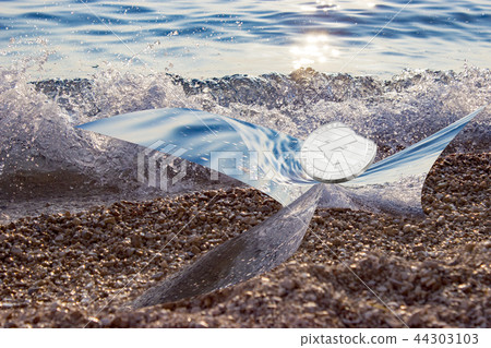 Abstract view of litecoin on the seacoast 44303103