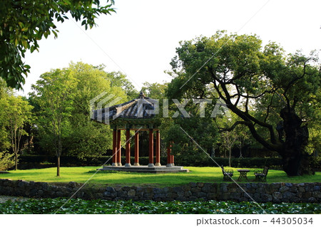 公園,花園,放鬆,戶外 公園,花園,放鬆,戶外 44305034