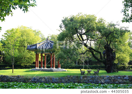 Park, garden, relaxation, outdoor Park, garden, relaxation, outdoor 44305035