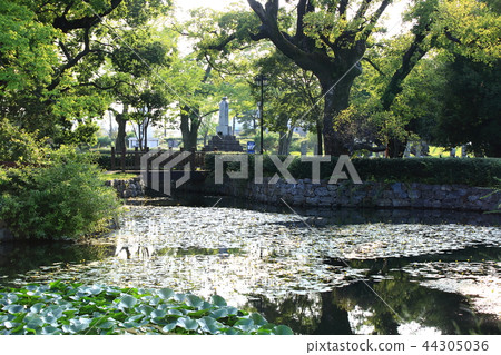 Park, garden, relaxation, outdoor Park, garden, relaxation, outdoor 44305036