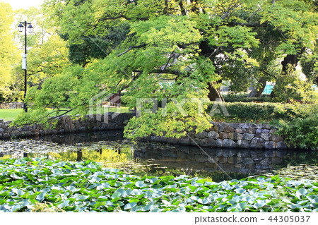 Park, garden, relaxation, outdoor Park, garden, relaxation, outdoor 44305037