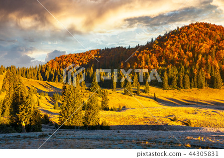 gorgeous sunrise in mountains 44305831