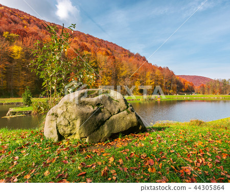 lovely autumn scenery in park lovely autumn scenery in park 44305864