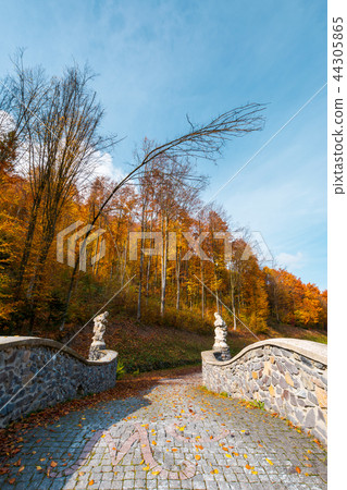 path from the in to the autumn forest path from the in to the autumn forest 44305865