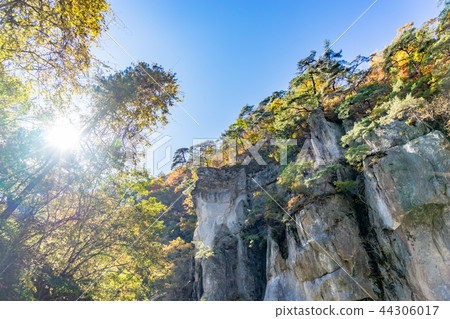 [群馬]伏木原谷 44306017