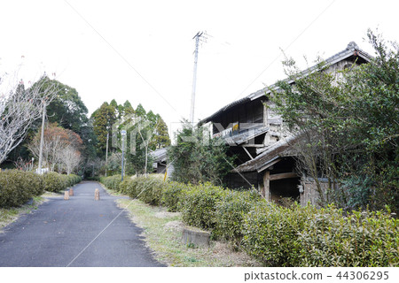 宮崎 宮崎 44306295