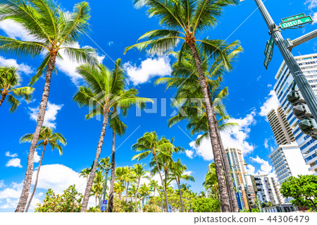 "Hawaii" Waikiki Beach Kalakaua Road "Hawaii" Waikiki Beach Kalakaua Road 44306479