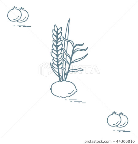 Pomegranate and Lulav - symbolic attribute of the Pomegranate and Lulav - symbolic attribute of the 44306810