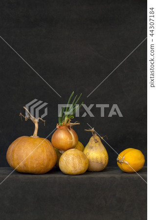 with several pumpkins and sprouted onions with several pumpkins and sprouted onions 44307184