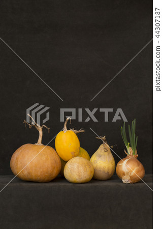 with several pumpkins and sprouted onions with several pumpkins and sprouted onions 44307187