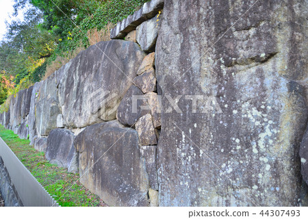 Ishigaki of Daikokuji Daibutsuden 44307493