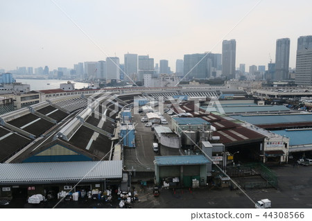 築地市場 44308566