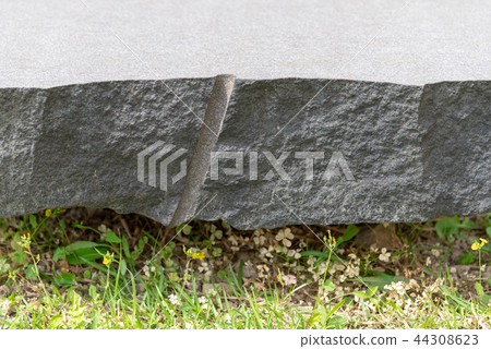 Stone rock texture Rock Texture rock texture background Images Stone rock texture Rock Texture rock texture background Images 44308623