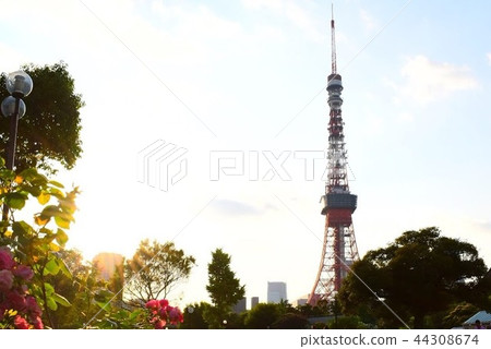 東京鐵塔晚上 東京鐵塔晚上 44308674