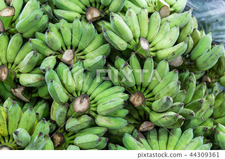 A bunch of bananas A bunch of bananas 44309361
