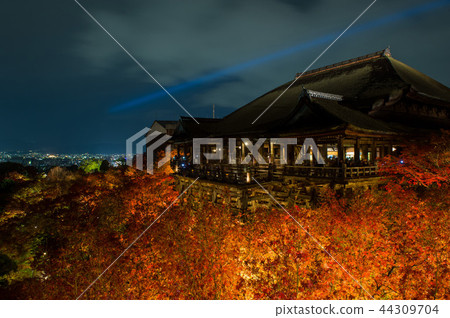 Kiyomizu寺廟秋葉在晚上，京都，日本 44309704